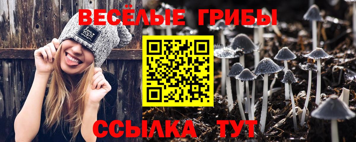 Псилоцибиновые грибы ЛСД Волгодонск