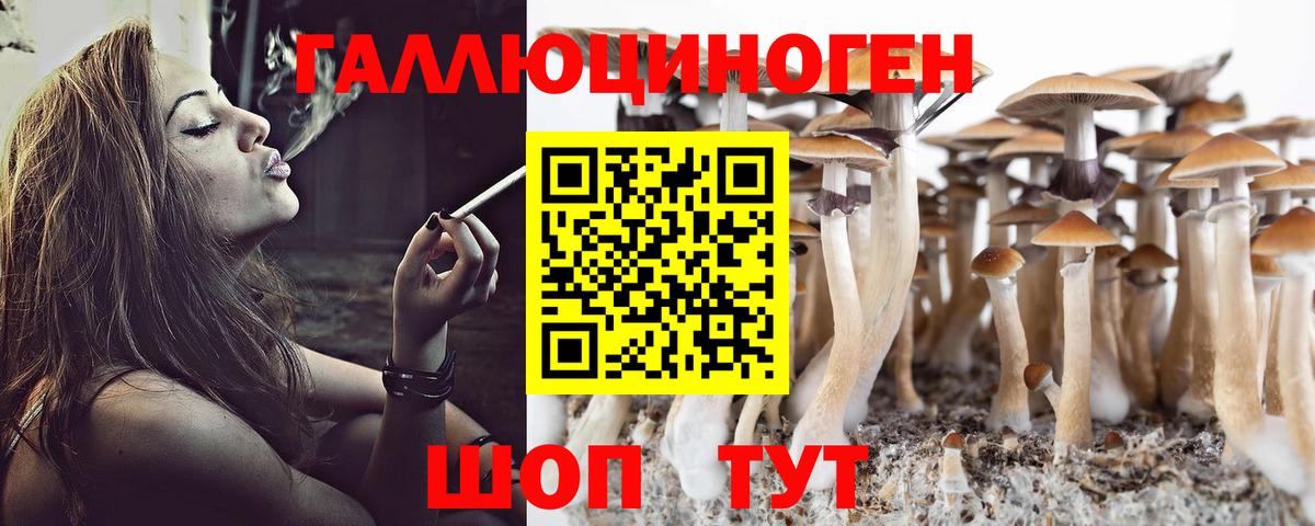 Волгодонск  Псилоцибиновые грибы Cubensis  закладки  Вход с VPN 